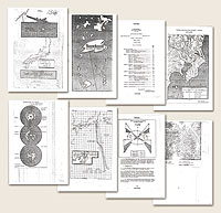 �ČR���񍐎���