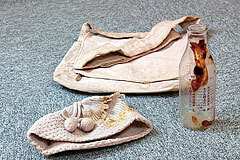 �X�q�A�ٓ��r�A���΂�