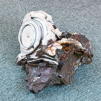 ���M�ŗn�������ƎM