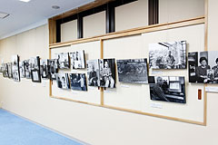 �W�����i