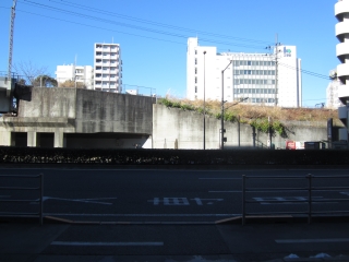 �������P�̖�A�񌩏��j����̎p���Ō�ɖڌ����ꂽ����t�X��